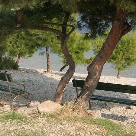 In With Sea View, Balcony, Air Conditioning, Wifi 4252-3 شقة كومارنا